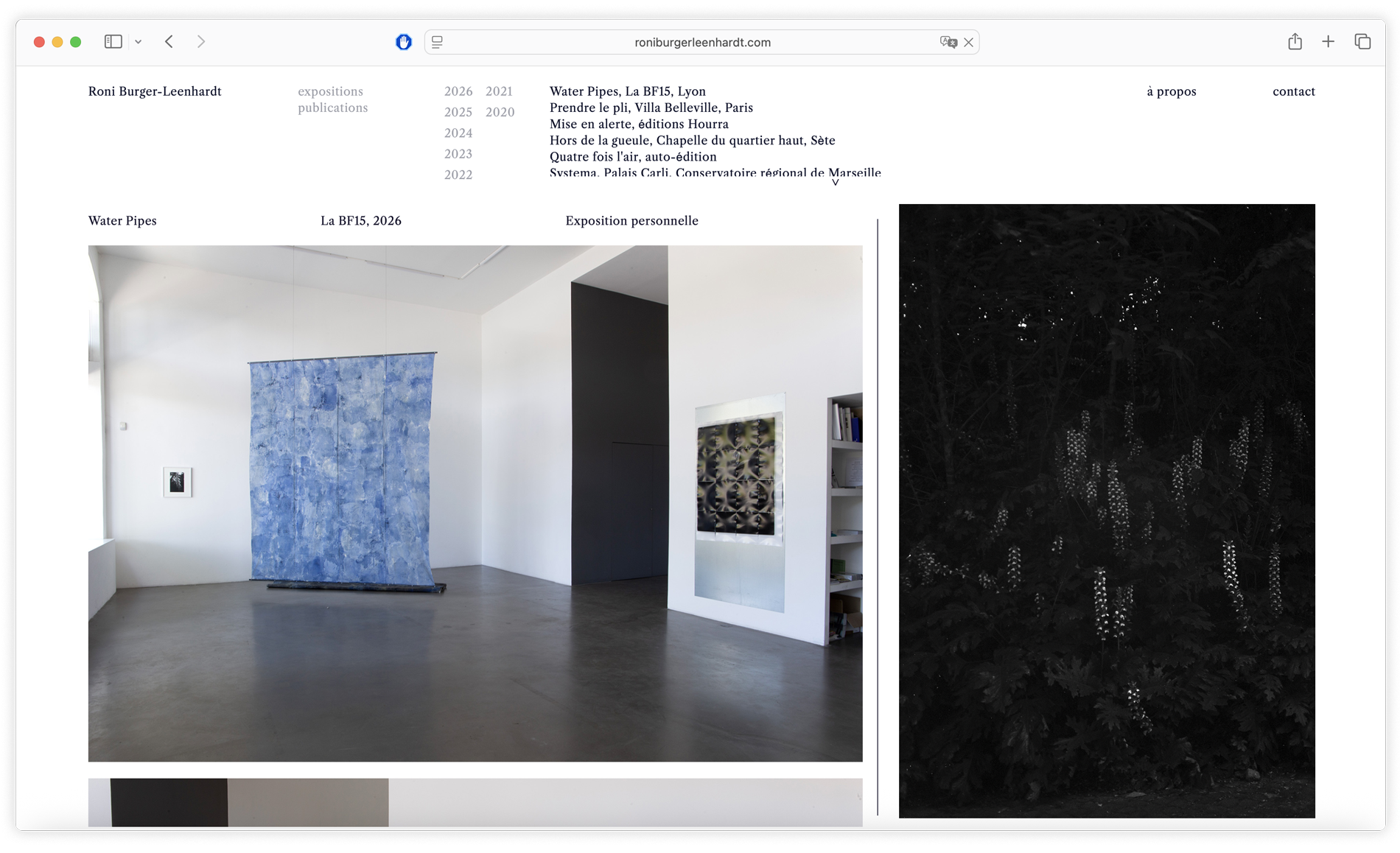 roni website 1